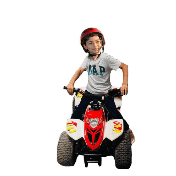 ATV Quad Bike 80CC Tornado off Road — image 1