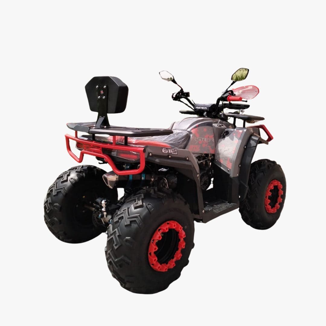 Dominator 250 CC Off Road ATV Quad Bike for Deserts Fully Automatic Speed 70 kmph thumbnail 3