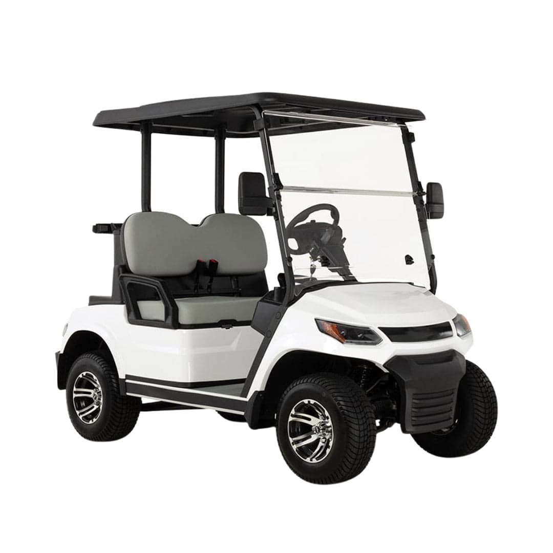 LVT Electric Golf Cart Buggy 2-Seater Experience thumbnail 3