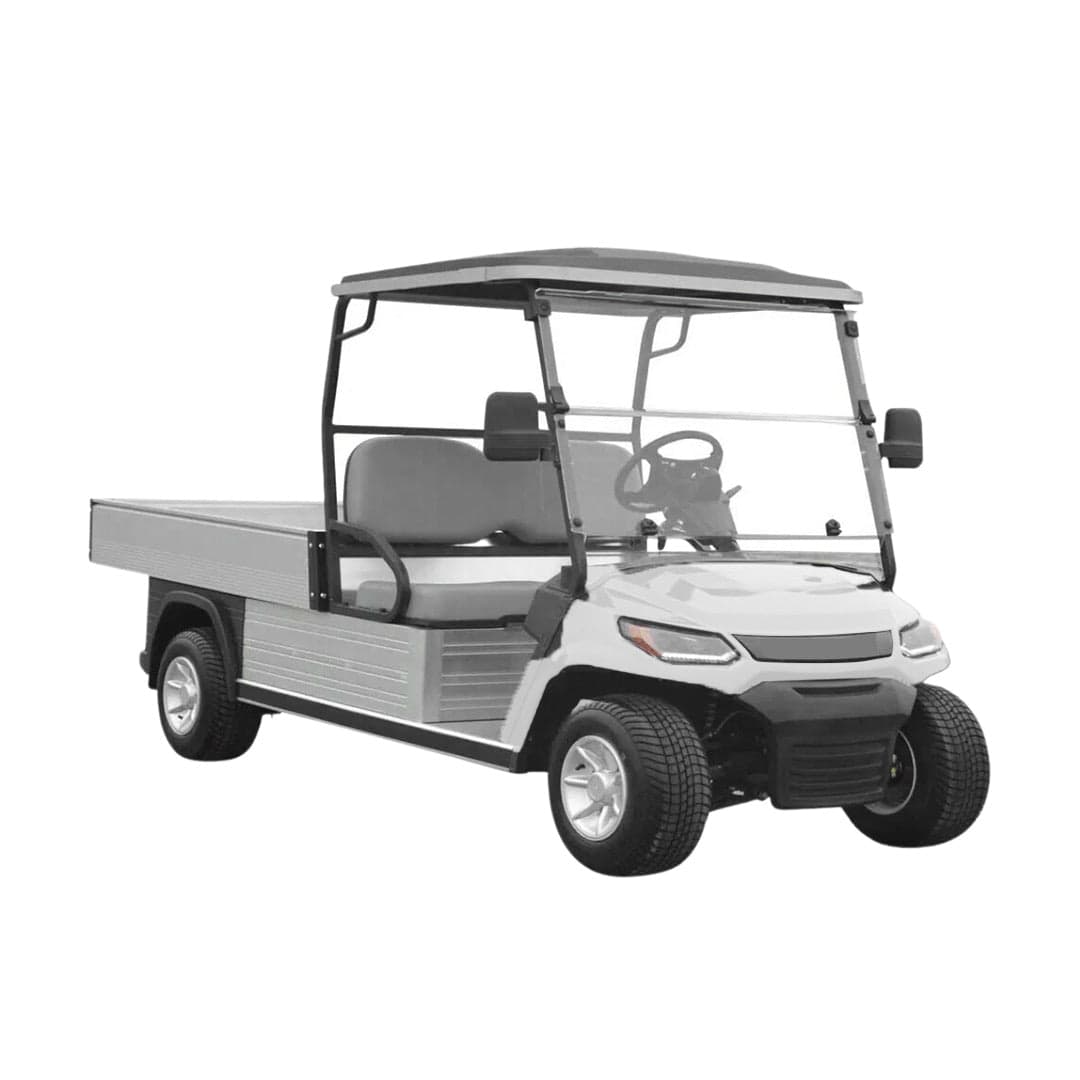 Lvt Electric Golf Cart 2 Seats With Long Utility Cargo Box Hydraulic