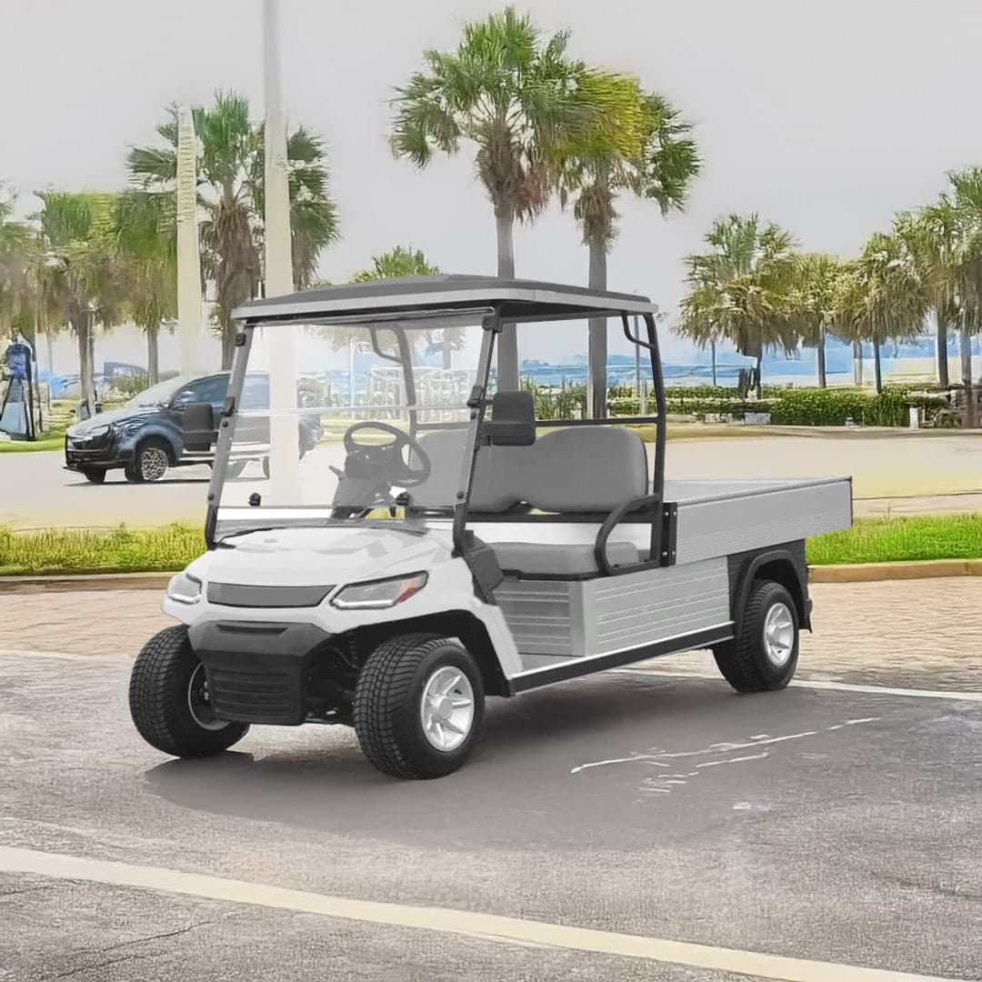 Lvt Electric Golf Cart 2 Seats With Long Utility Cargo Box Hydraulic thumbnail 3