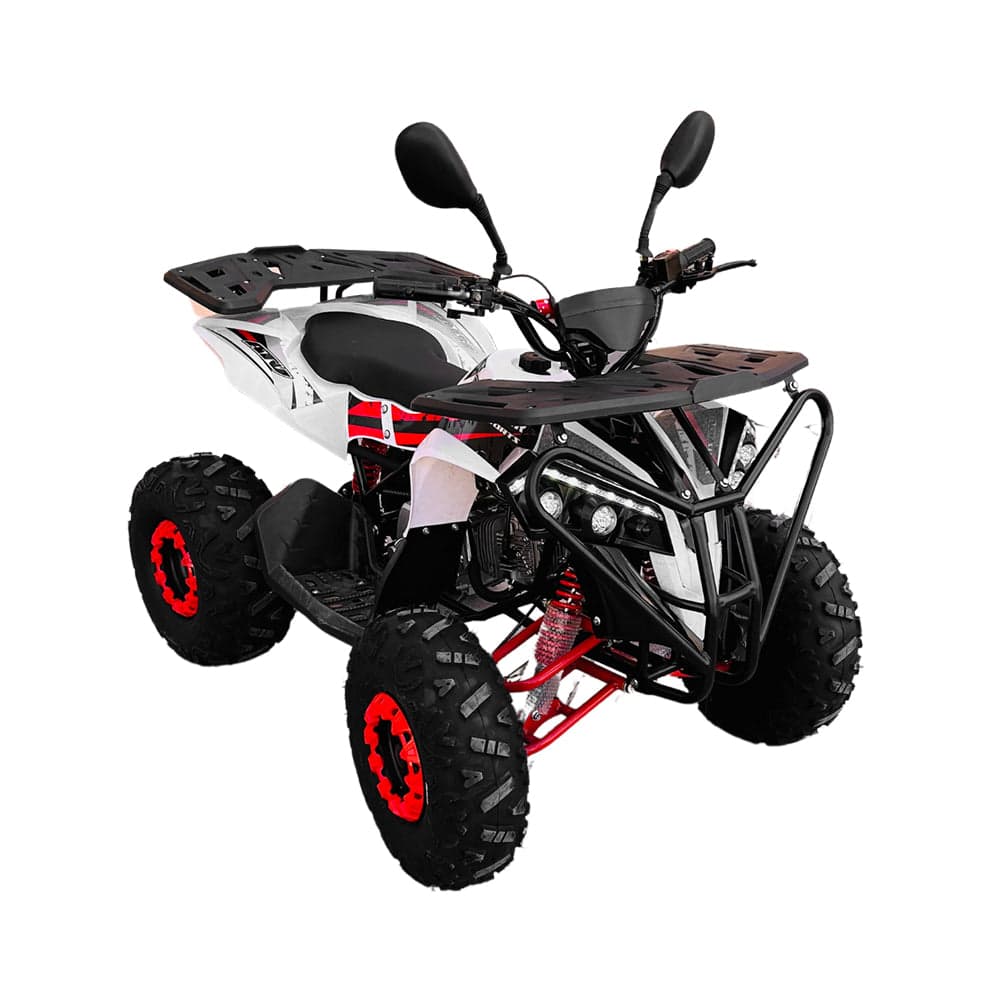 GATOR 125 CC ATV Quad Bike Fully AUTOMATIC off road ATV With Reverse