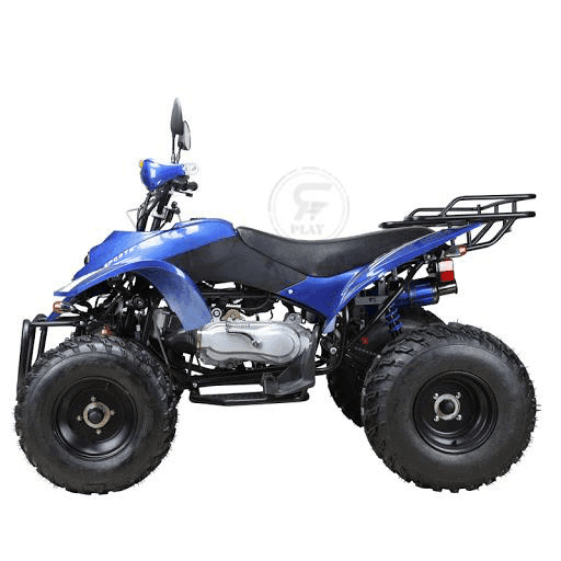 ATV Quad Bike Off Road King 250CC Power wheels Bike Fully Automatic thumbnail 3