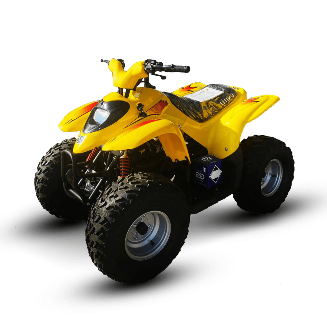 Taiwan UNILLI 100CC Off Road ATV Quad Bike 2 Stroke HIGH Quality for 6-11 yrs thumbnail 3