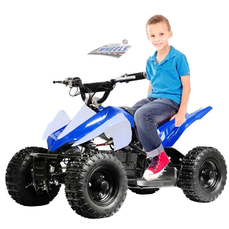 Electric Quad Atv Mini Quad Kids Electric Rideon Bike 36V