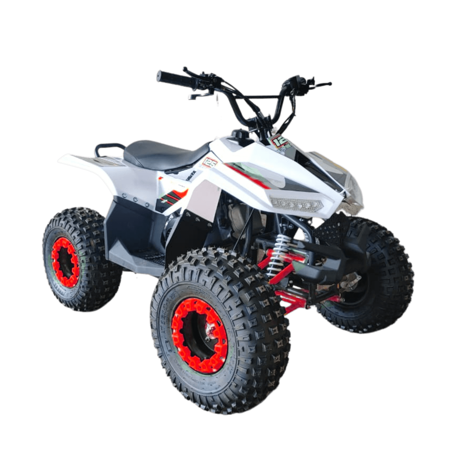 ATV Quad Bike off Road Rex 80 CC Fully Automatic