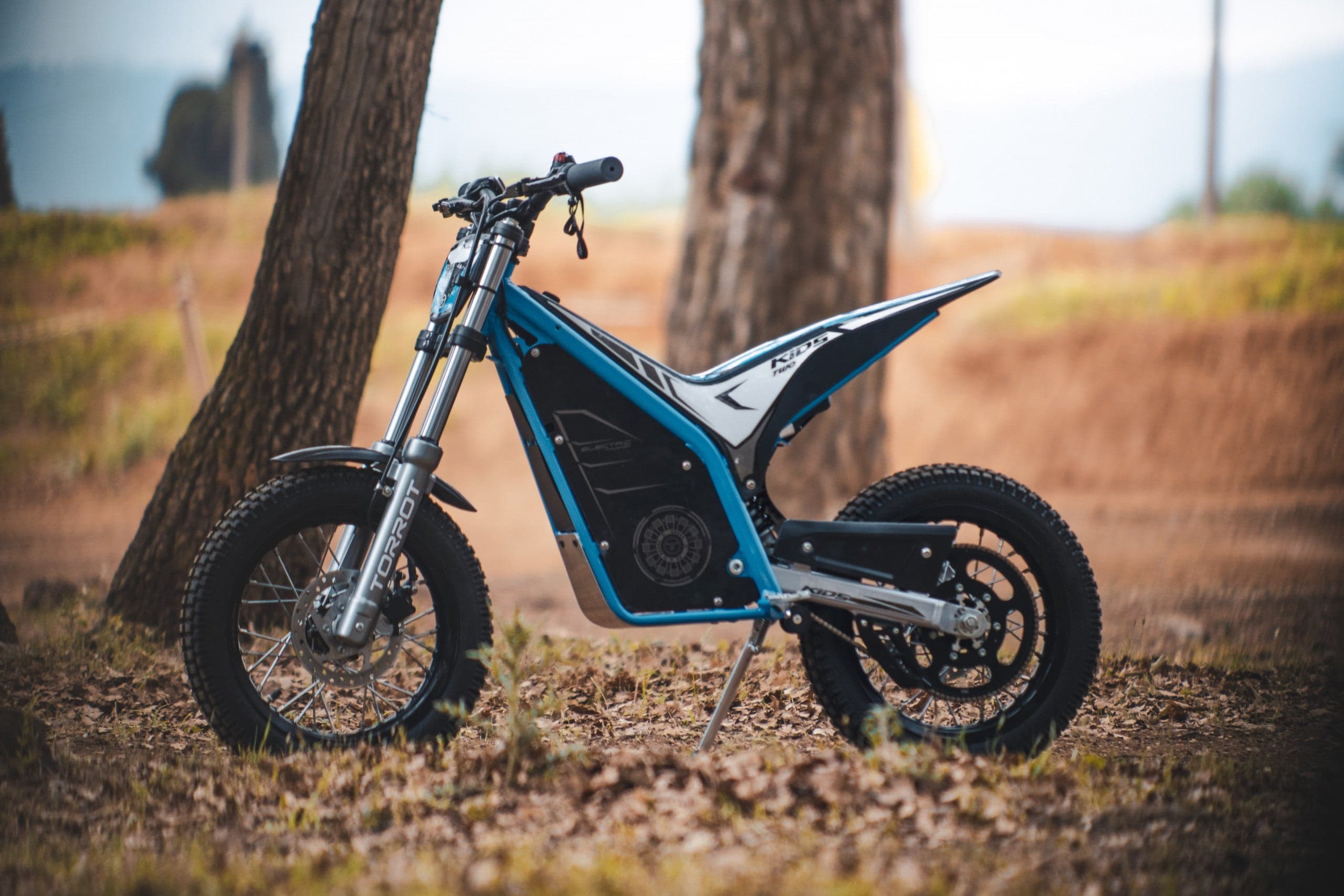 Torrot Trial TR1 Electric Bike for Kids (Ages 3–7) With Parental App Control