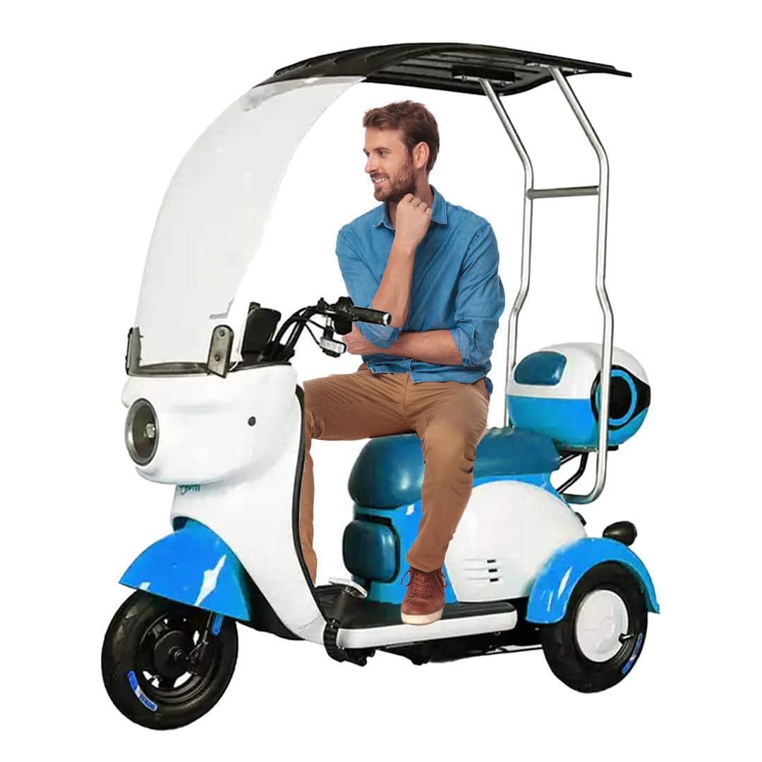 Vesta Cruise Trio 48V Electric Scooter Family Tricycle with Rooftop for Personal Use