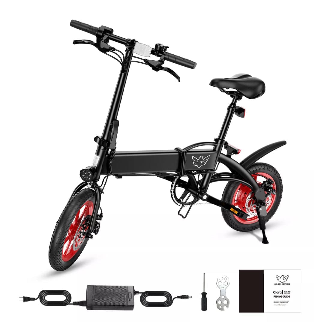 Windstorm Carbon Alloy Foldable Ebike 36 V