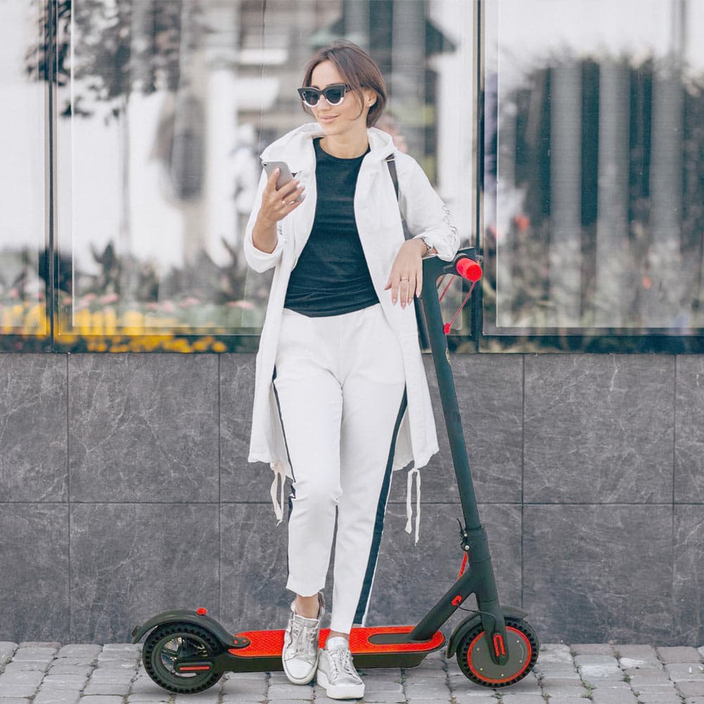 WS Pro 365 lightweight Foldable Electric Scooter 36 v
